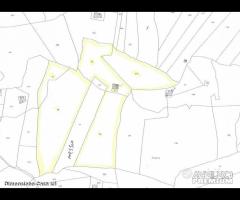 Rif.TA69|Terreno agricolo San Cataldo - 10