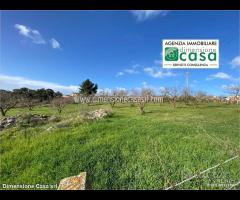 Rif.TA45|Terreno agricolo San Cataldo