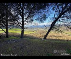 Rif.TA68|Terreno agricolo San Cataldo