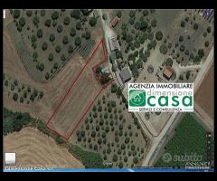 Rif.TA21|Terreno agricolo San Cataldo