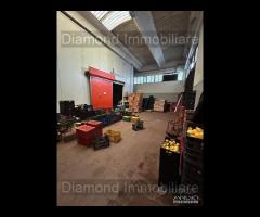 Capannone con piazzale ad Aci Catena