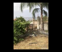 Terreno con rudere a Nunziata di Mascali - 12