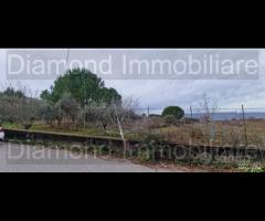 Vigneto in zona DOC a Castiglione di Sicilia