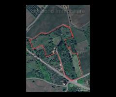 Vigneto in zona DOC a Castiglione di Sicilia - 8