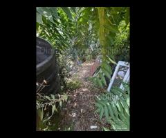 Villetta singola con terreno a Zafferana Etnea - 13