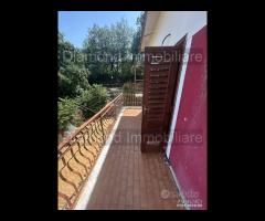 Villetta singola con terreno a Zafferana Etnea - 17