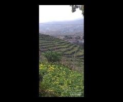 Proprietà agricola con casolare a Linguaglossa