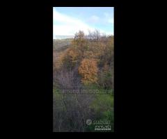 Proprietà agricola con casolare a Linguaglossa