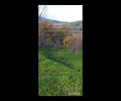 Proprietà agricola con casolare a Linguaglossa