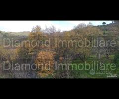 Proprietà agricola con casolare a Linguaglossa