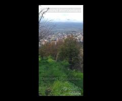 Proprietà agricola con casolare a Linguaglossa - 6