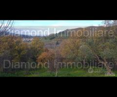 Proprietà agricola con casolare a Linguaglossa - 9