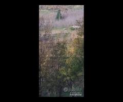 Proprietà agricola con casolare a Linguaglossa - 10