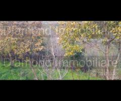 Proprietà agricola con casolare a Linguaglossa - 13