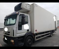 IVECO 150E28 FRIGO E SPONDA CARICATRICE
