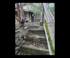 Casetta panoramica con terreno a Milo - 8