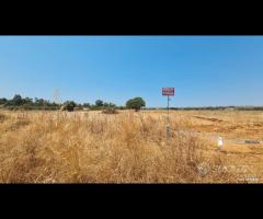 Castelvetrano terreno comm. 6000 mq z. svincolo - 7