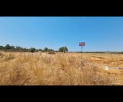 Castelvetrano terreno comm. 6000 mq z. svincolo - 8