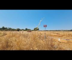 Castelvetrano terreno comm. 6000 mq z. svincolo - 9