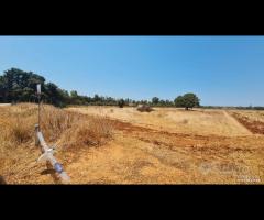 Castelvetrano terreno comm. 6000 mq z. svincolo - 10