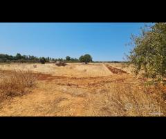 Castelvetrano terreno comm. 6000 mq z. svincolo - 11