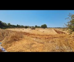 Castelvetrano terreno comm. 6000 mq z. svincolo - 12