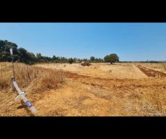 Castelvetrano terreno comm. 6000 mq z. svincolo - 13