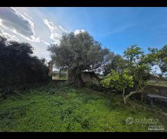 Castelvetrano casa rurale con ampio terreno - 6