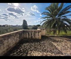 Castelvetrano casa rurale con ampio terreno - 13