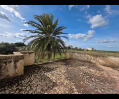 Castelvetrano casa rurale con ampio terreno - 14