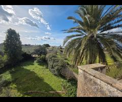 Castelvetrano casa rurale con ampio terreno - 16