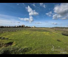 Castelvetrano casa rurale con ampio terreno - 19