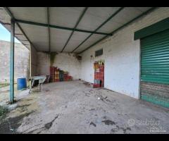 Castelvetrano locale 180 mq con terreno di 2800 mq - 6