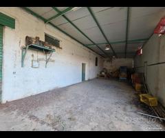 Castelvetrano locale 180 mq con terreno di 2800 mq - 7