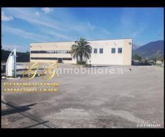 Capannone industriale 14000 mq uscita Capua