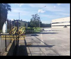 Capannone industriale 14000 mq uscita Capua