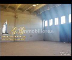 Capannone industriale 14000 mq uscita Capua