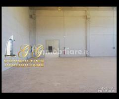 Capannone industriale 14000 mq uscita Capua - 6