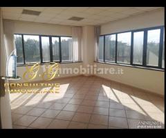 Capannone industriale 14000 mq uscita Capua - 7