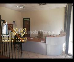 Capannone industriale 14000 mq uscita Capua - 9