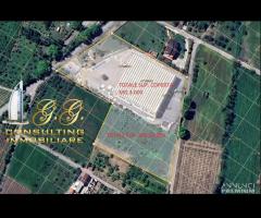 Capannone industriale 14000 mq uscita Capua - 10