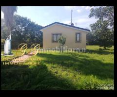 Capannone industriale 14000 mq uscita Capua - 11