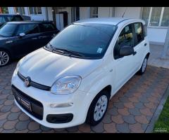 FIAT - Panda - 1.2 Pop - NEOPATENTATI - FINANZIABI