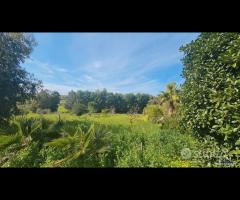 Selinunte prestigiosa villetta vista templi - 25