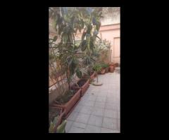 Zona centrale 5 vani ristrutturato - 13