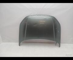 COFANO ANTERIORE LAND ROVER EVOQUE 2012 -2018 LR02