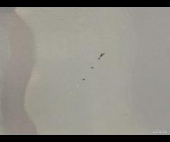 PORTA PORTIERA ANTERIORE DX BMW X6 E71 2008-2014 4 - 14