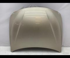 COFANO ANTERIORE BMW F30 316D 2011 - 2019 41007290