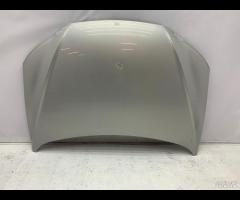 COFANO ANTERIORE BMW X3 F25 2010 - 2017 4161726733