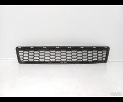 GRIGLIA PARAURTI ANTERIORE GRIGLIA RADIATORE BMW X - 2